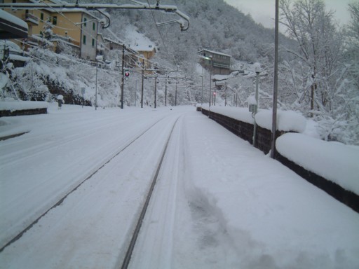  Image name: DSCF5090.JPG 
 width: 512 pixel 
 height: 384 pixel 
 Size: 45322 bytes 
 Click to enlarge 